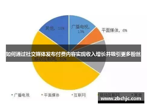 如何通过社交媒体发布付费内容实现收入增长并吸引更多粉丝