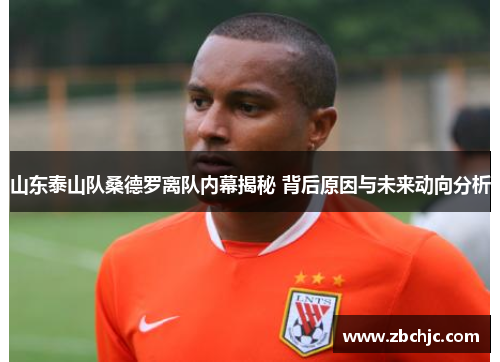 山东泰山队桑德罗离队内幕揭秘 背后原因与未来动向分析