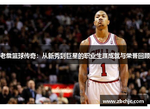 老詹篮球传奇：从新秀到巨星的职业生涯成就与荣誉回顾
